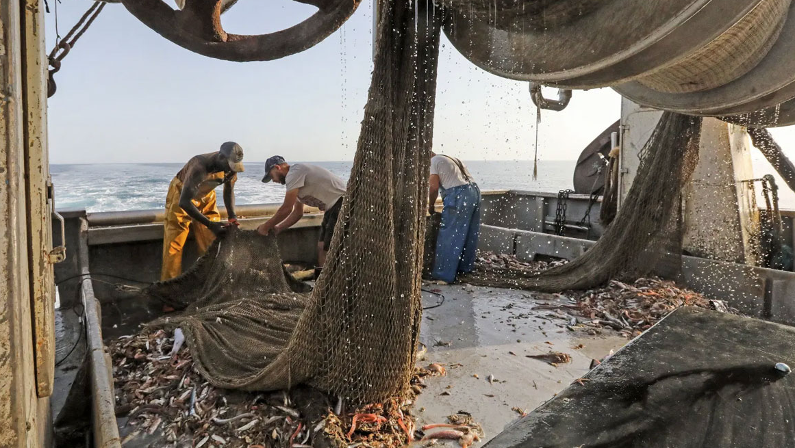 Η αθέατη καταστροφή των βυθών και η κραυγή του David Attenborough για τους…