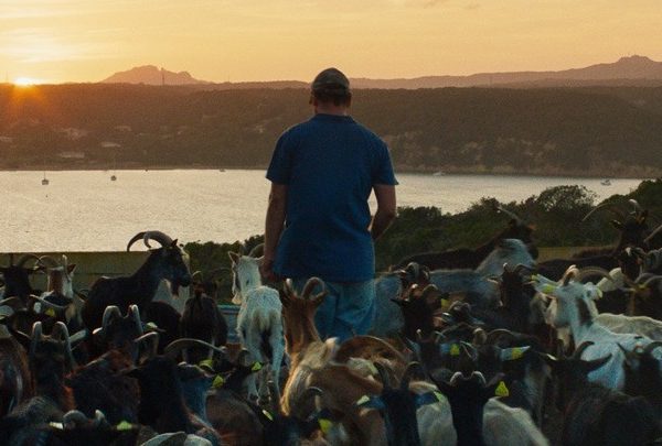 Από τη Μεσόγειο της Αντίστασης έως τη νεανική ουτοπία –&hellip;