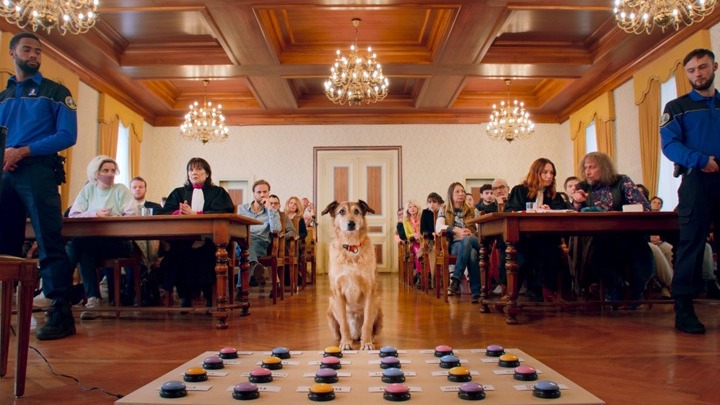 Νέες Κινηματογραφικές Πρεμιέρες: Από τον Μπραντ Πιτ στη Formula 1 μέχρι τον σουρεαλισμό…