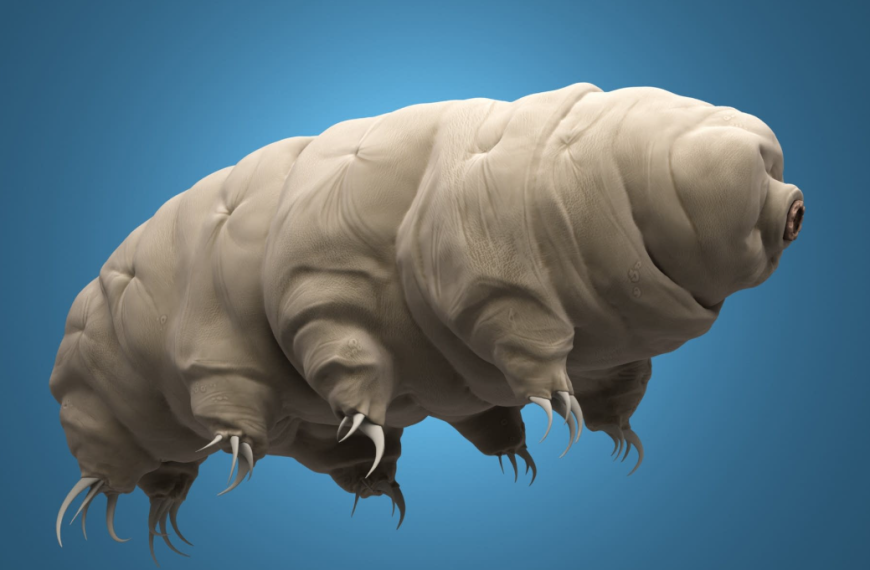 Ποιος τελικά θα επιβιώσει σε πυρηνικό πόλεμο; – Πάντως όχι οι κατσαρίδες όπως νομίζαμε