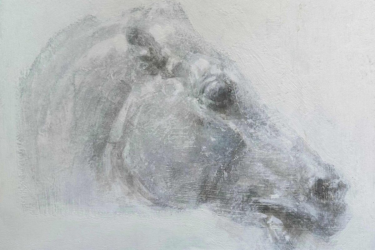 Μάρτζορι Τέιλορ Γκριν: Η δεξιά αντι-τραμπ φράξια