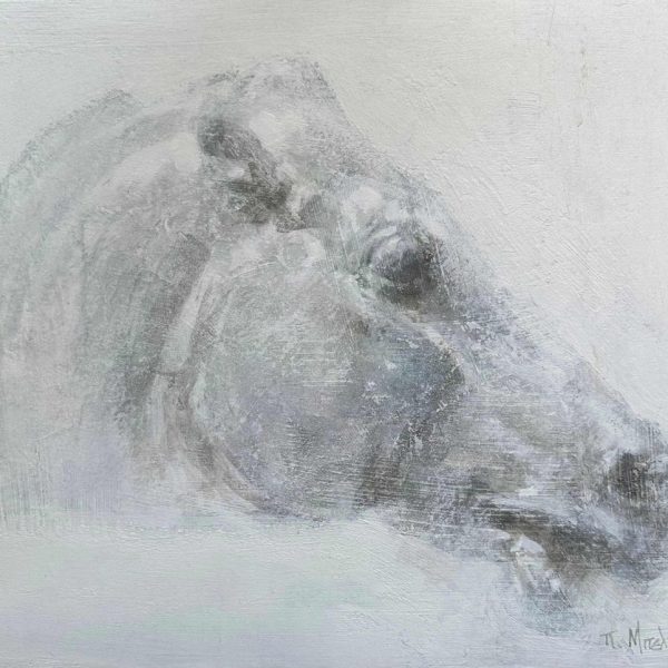 Μάρτζορι Τέιλορ Γκριν: Η δεξιά αντι-τραμπ φράξια