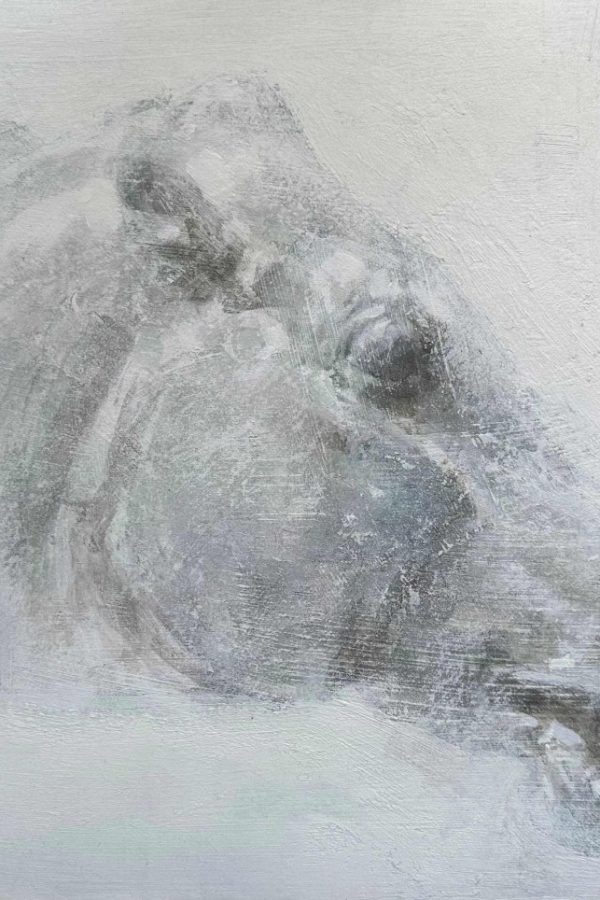 Μάρτζορι Τέιλορ Γκριν: Η δεξιά αντι-τραμπ φράξια