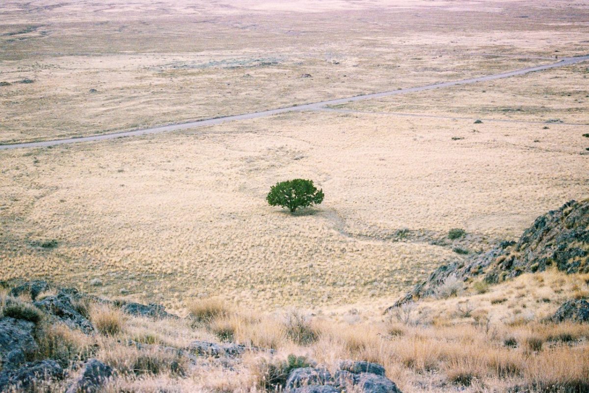 Image by Helix_Games on Pixabay