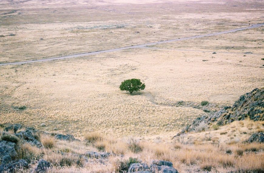 Image by Helix_Games on Pixabay