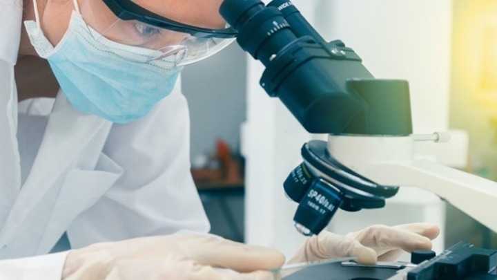 Ο θανατηφόρος μύκητας της «κατάρας των Φαραώ» γίνεται όπλο κατά του καρκίνου