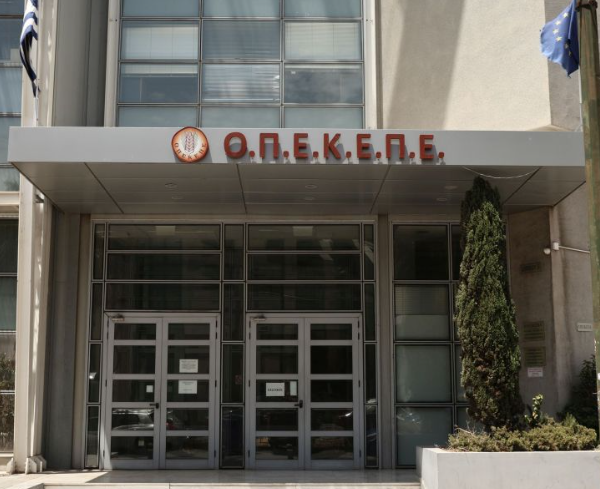 Σκάνδαλο ΟΠΕΚΕΠΕ: Από τα συγχαρητήρια στην αποπομπή – Στη δημοσιότητα επιστολές Σημανδράκου