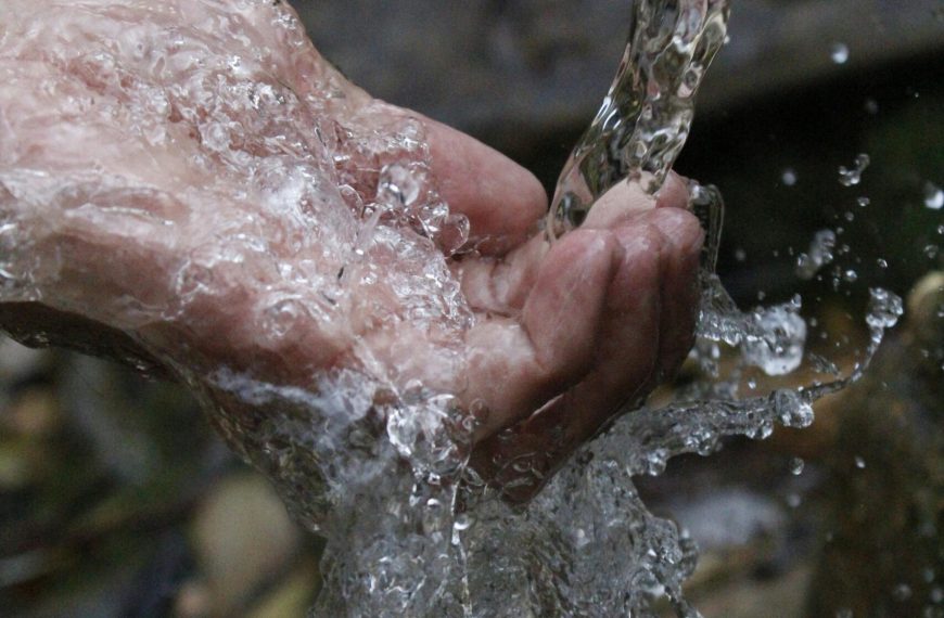 Photo by Samad Deldar on Pexels