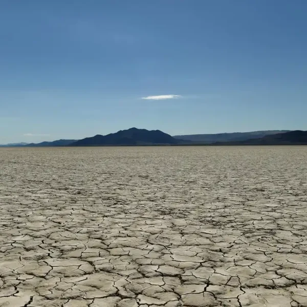 Γιάννης Τσιπουρίδης/ Σαν βατράχια σε αναμμένο τσουκάλι