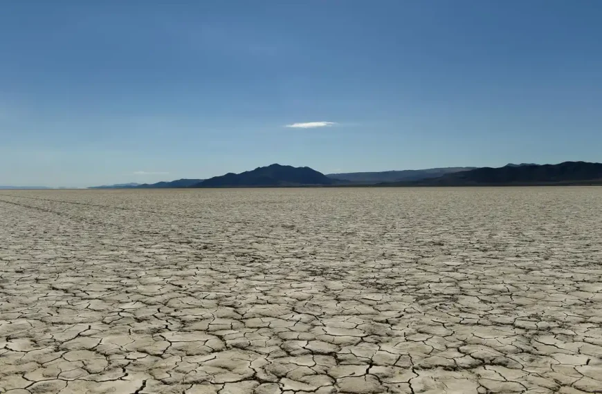 Γιάννης Τσιπουρίδης/ Σαν βατράχια σε αναμμένο τσουκάλι