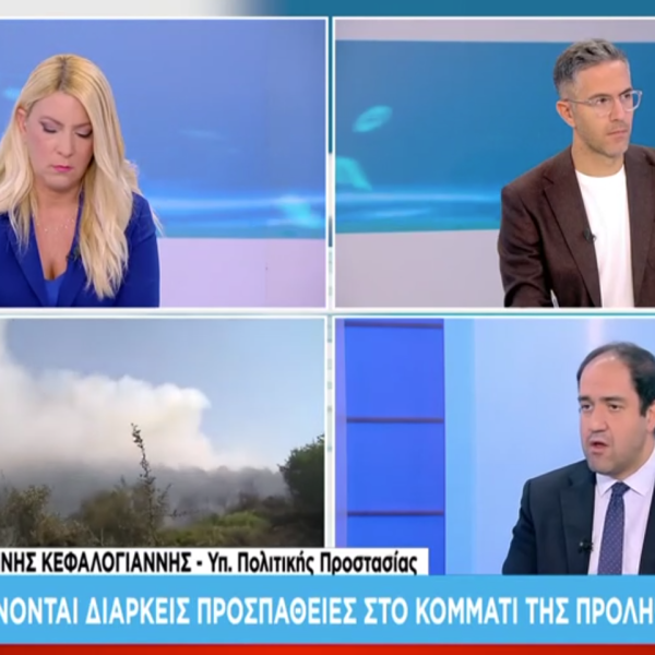 Κεφαλογιάννης: «Κάτω από τον μέσο όρο 20ετίας οι καμένες εκτάσεις&hellip;