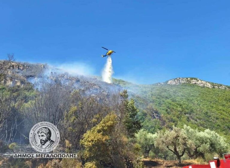 Φωτιά τώρα στο Λεοντάρι Αρκαδίας