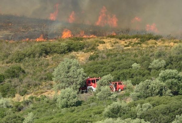 Φωτιά στο Χορτιάτη Θεσσαλονίκης