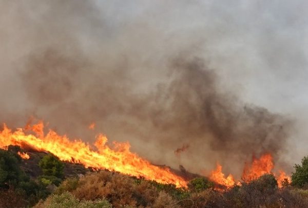 Πολύ υψηλός κίνδυνος πυρκαγιάς για το Σάββατο 16 Αυγούστου –…