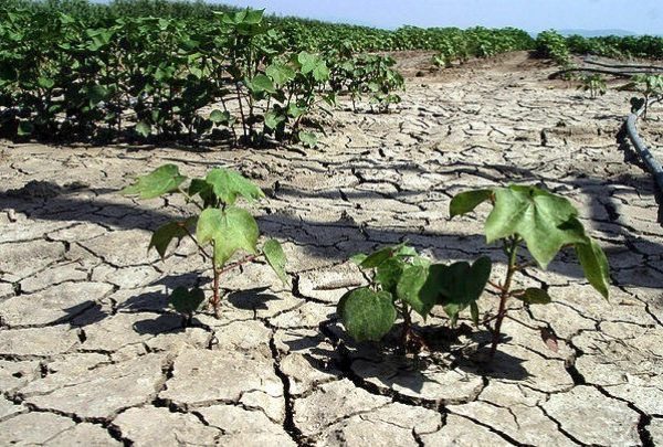 Ρεκόρ ξηρασίας στην Ευρώπη