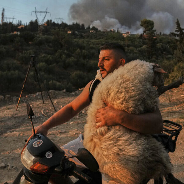 «Ο καλός ποιμένας της Αχαΐας» στις πιο εμβληματικές φωτογραφίες του…