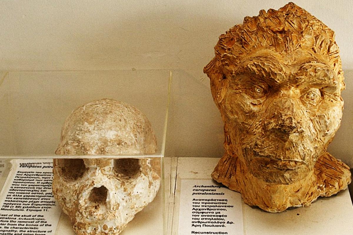 Κρανίο Ανθρώπου των Πετραλώνων: Νέες διευκρινίσεις από το ΑΠΘ για τη χρονολόγηση και…